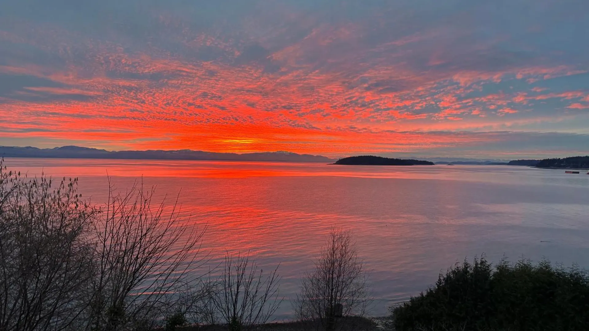 Homestay Sea To Sky Loft Apartment Sechelt