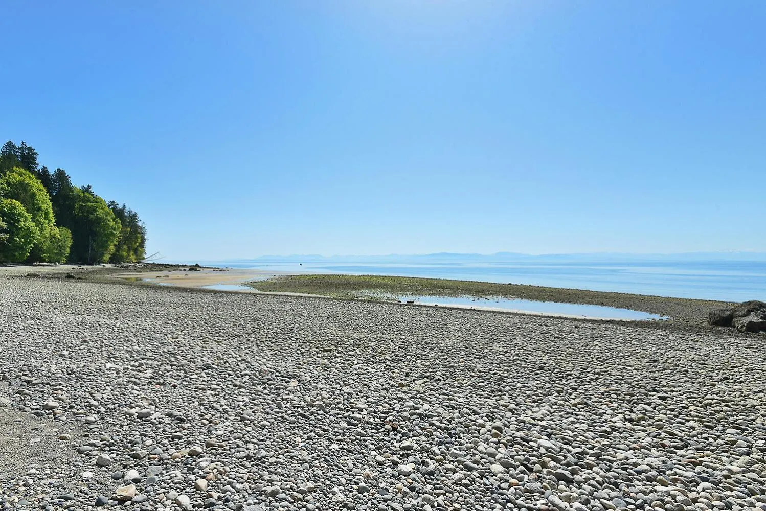 Homestay Sea To Sky Loft Apartment Sechelt